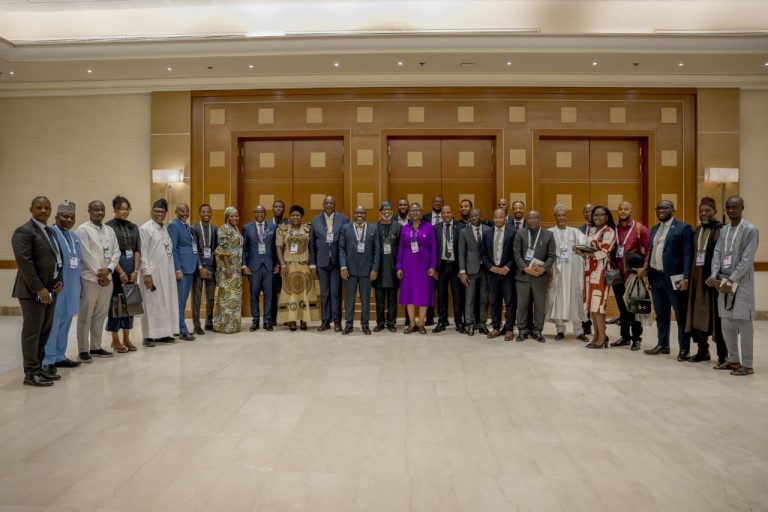 African Governments establish the Africa Minerals Strategy Group (AMSG)