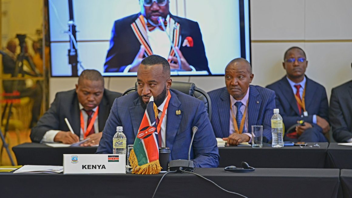 AMSG Secretary-General Addresses ICGLR Mining Forum Ministerial Meeting in Juba, South Sudan