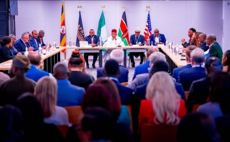 “Without Africa’s Critical Minerals, the World Cannot Transition”: AMSG Convenes Second High-Level Roundtable during the 80th UN General Assembly