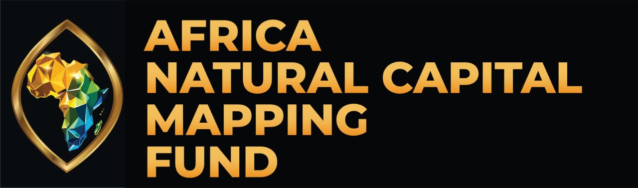 ANCMF Logo